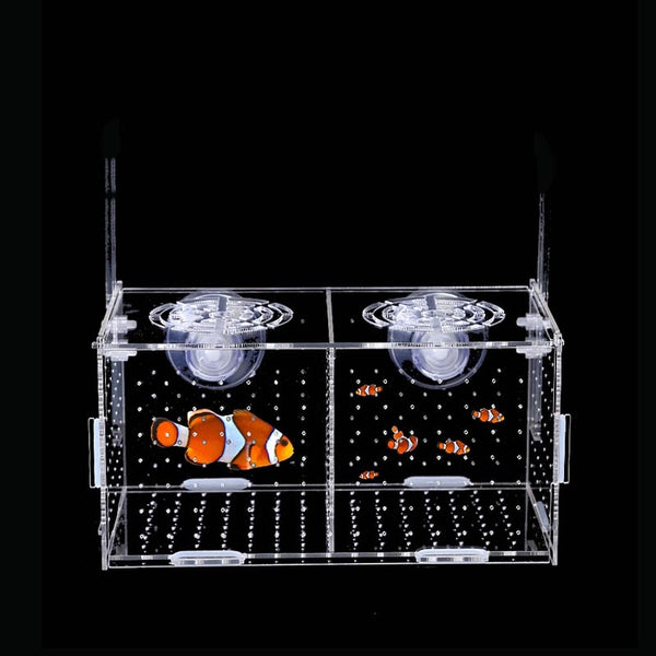 Fish Tank Aquarium Box Small Fish Isolation Net Tropical Fish Breeding Box Production Box Acrylic Aquarium Supplies 30X20X20CM