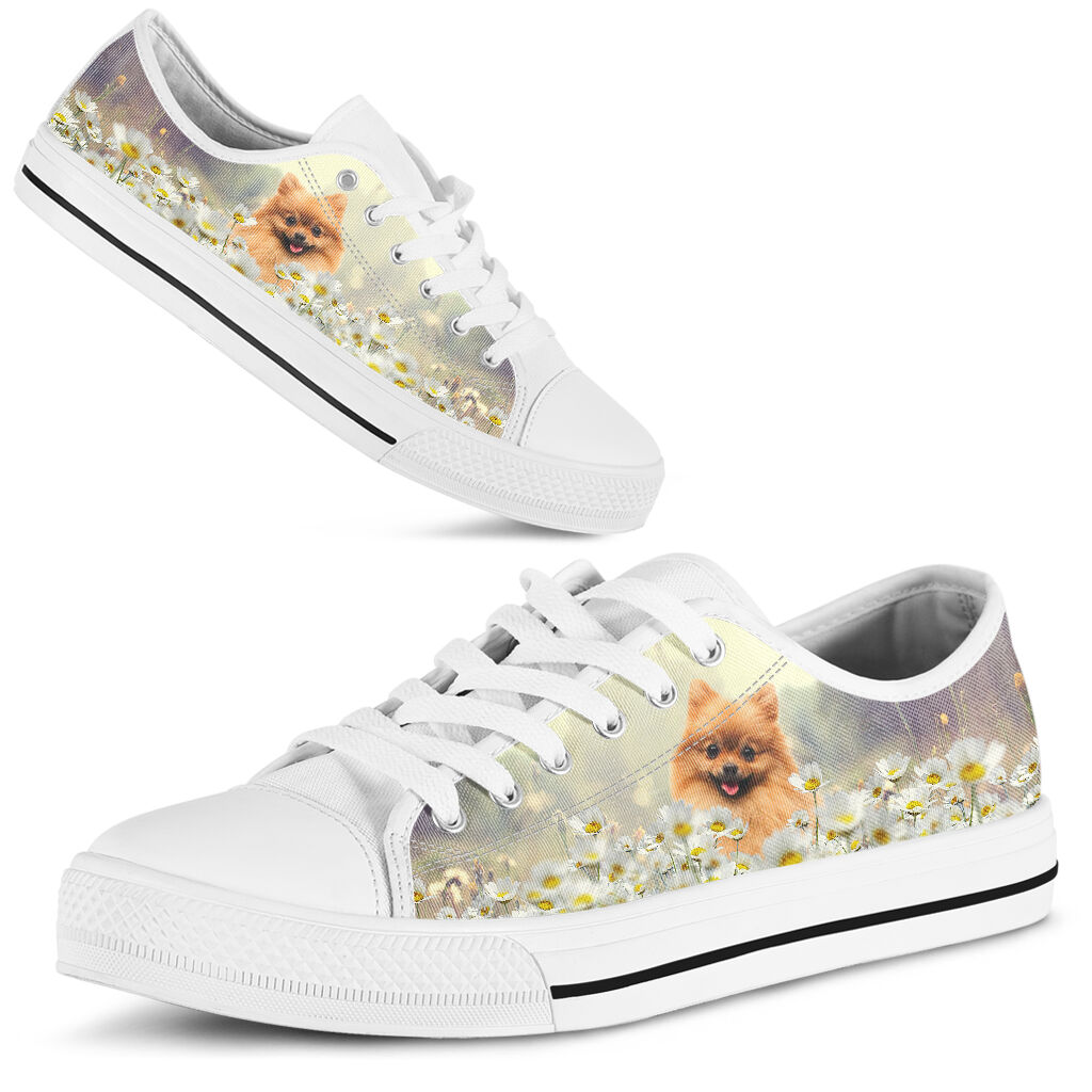 Pomeranian Daisy - Low Top Shoe - Love Love Top Shoes
