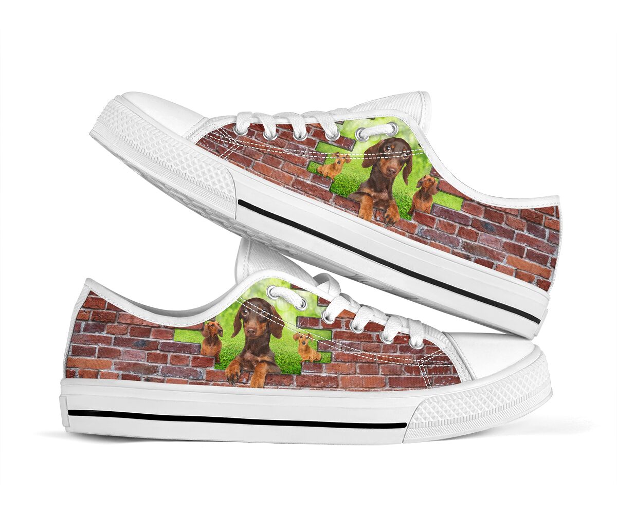 Dachshund On Grass Brick Wall - Low Top Shoe - Love Love Top Shoes