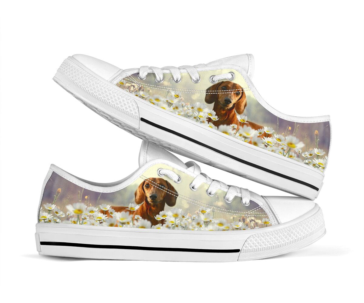Dachshund Daisy - Low Top Shoe - Love Love Top Shoes