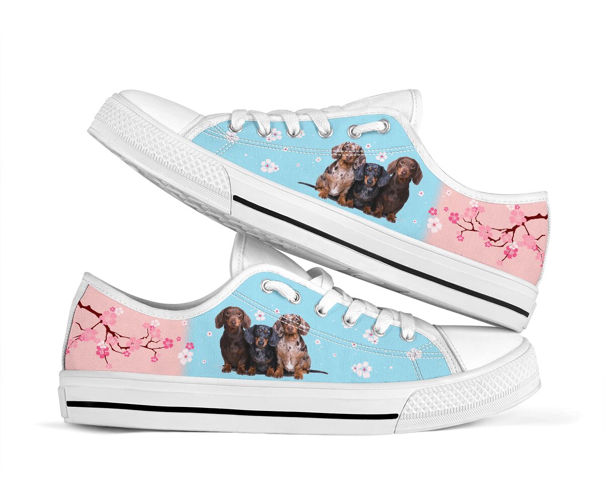 Dachshund And Cherry Blossom - Low Top Shoe - Love Love Top Shoes