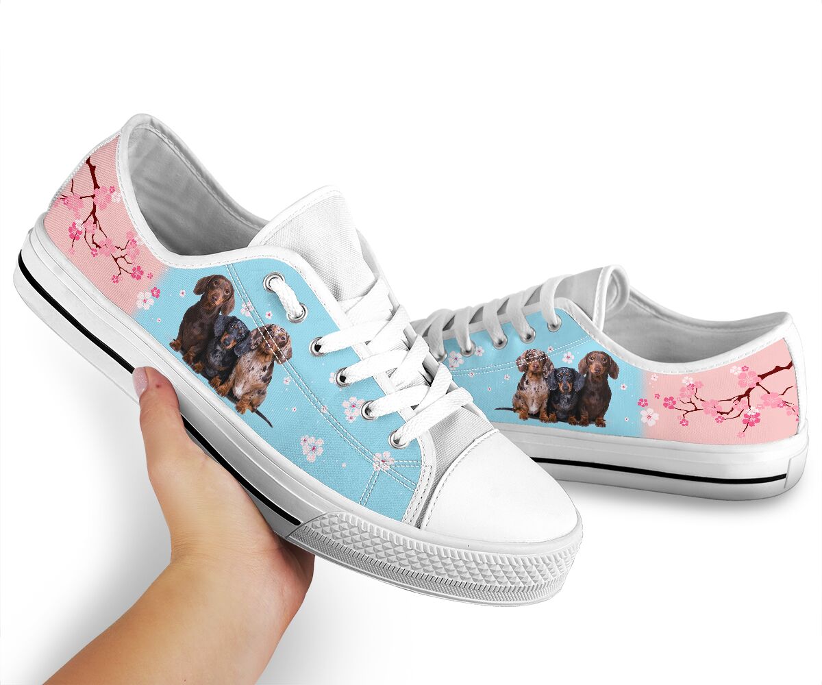 Dachshund And Cherry Blossom - Low Top Shoe - Love Love Top Shoes