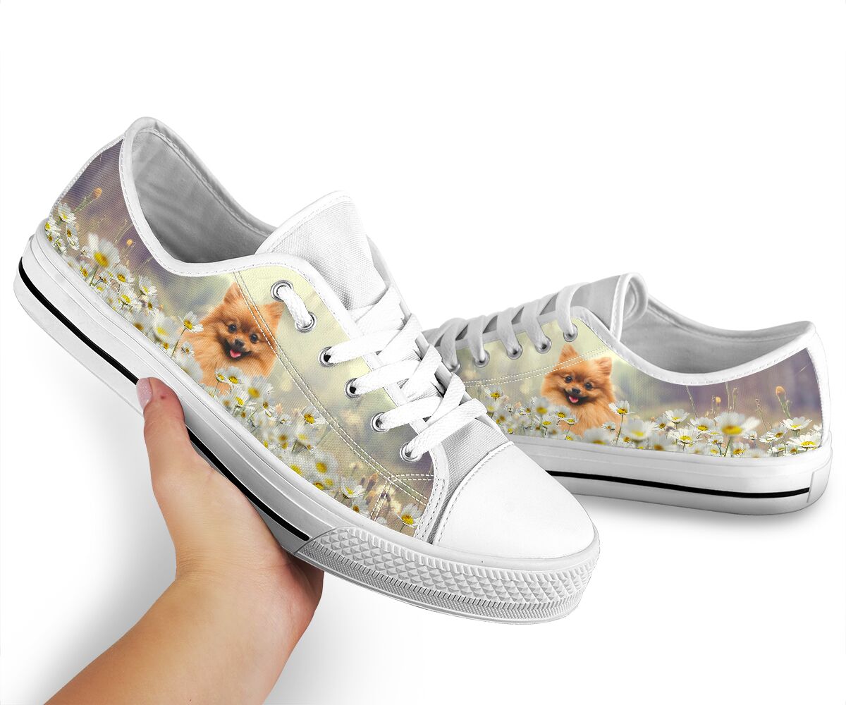 Pomeranian Daisy - Low Top Shoe - Love Love Top Shoes