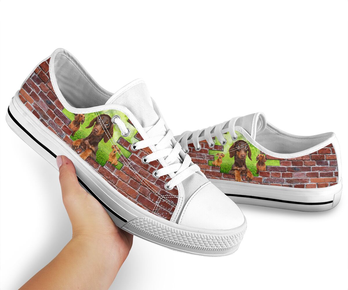 Dachshund On Grass Brick Wall - Low Top Shoe - Love Love Top Shoes