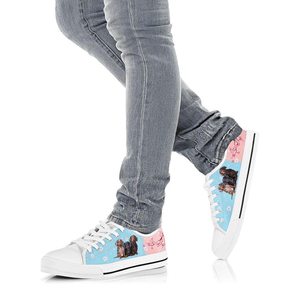 Dachshund And Cherry Blossom - Low Top Shoe - Love Love Top Shoes