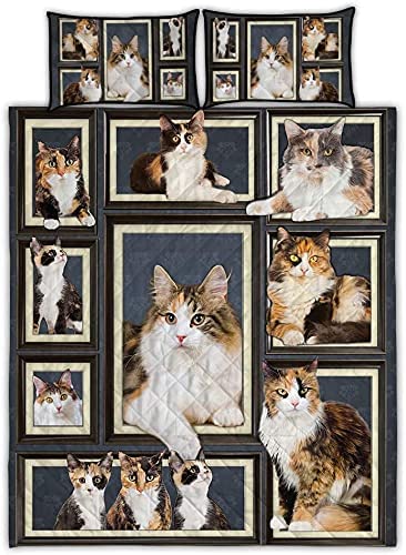 zbigtee Calicos Cat Picture Frames Set QBS Comfy Funny Bed Quilt Bed Set Bedding Set Animal Cat