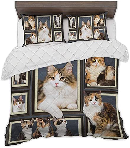 zbigtee Calicos Cat Picture Frames Set QBS Comfy Funny Bed Quilt Bed Set Bedding Set Animal Cat