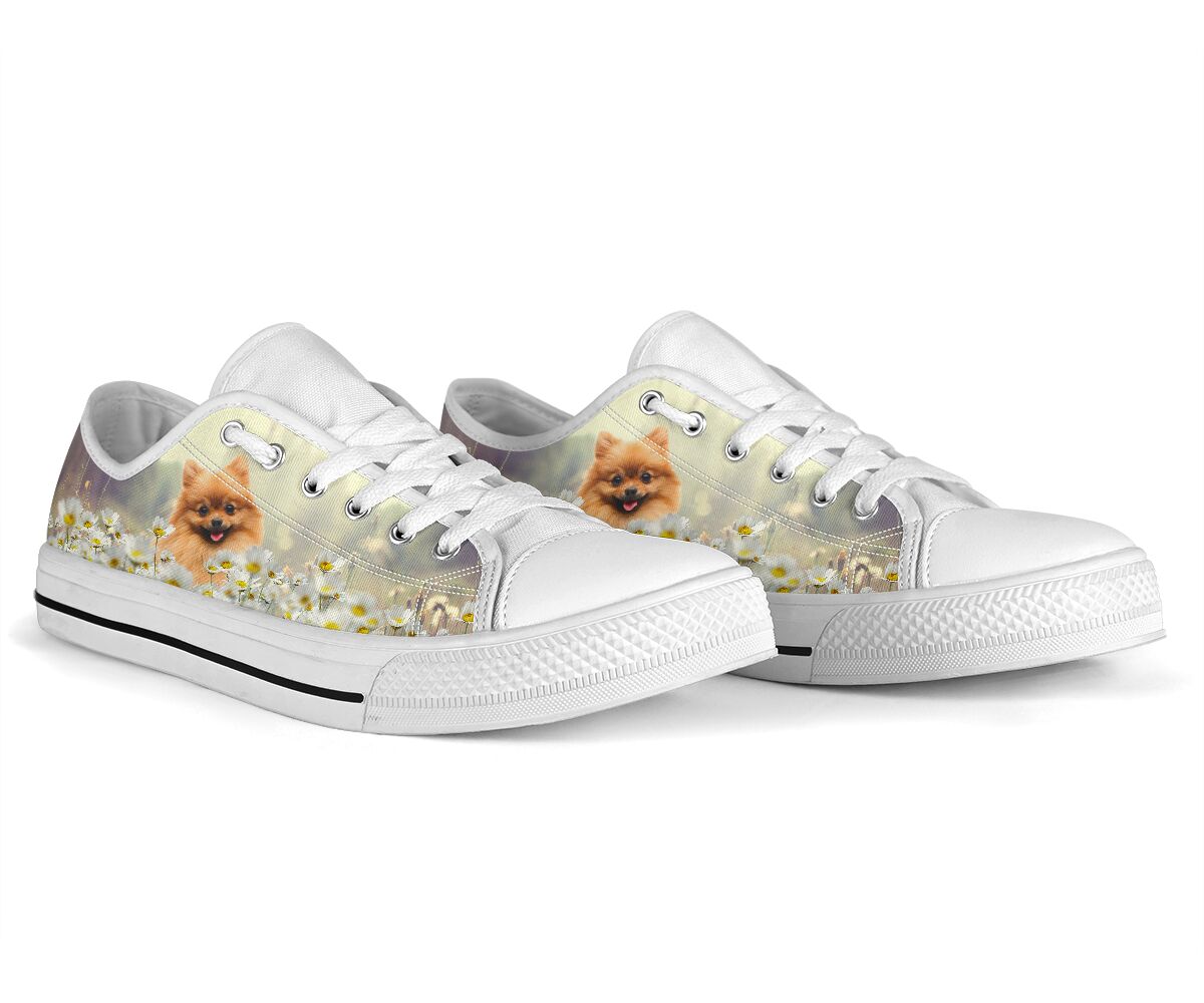 Pomeranian Daisy - Low Top Shoe - Love Love Top Shoes