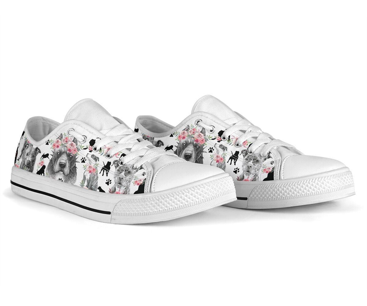 Low Top - Pitbull Shoe - Love Love Top Shoes