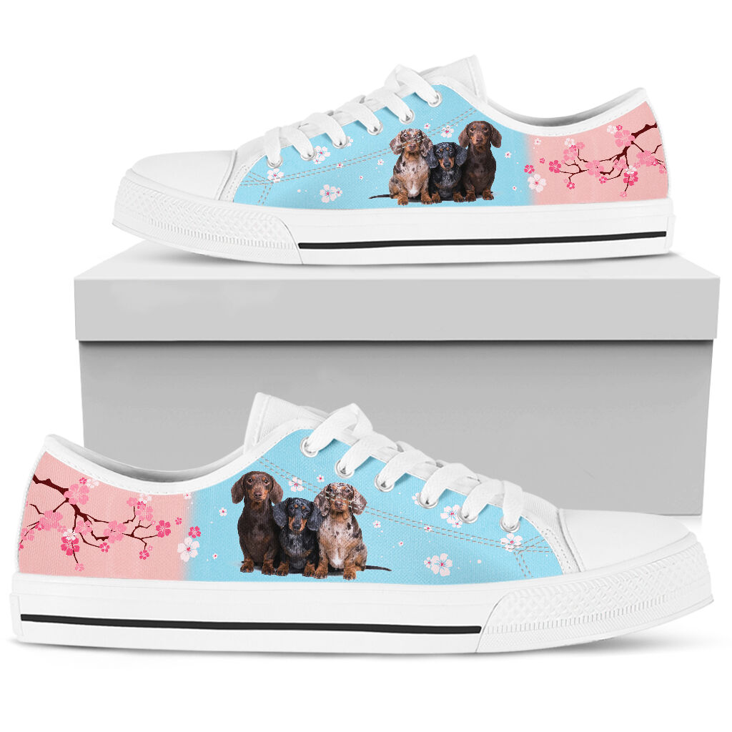 Dachshund And Cherry Blossom - Low Top Shoe - Love Love Top Shoes