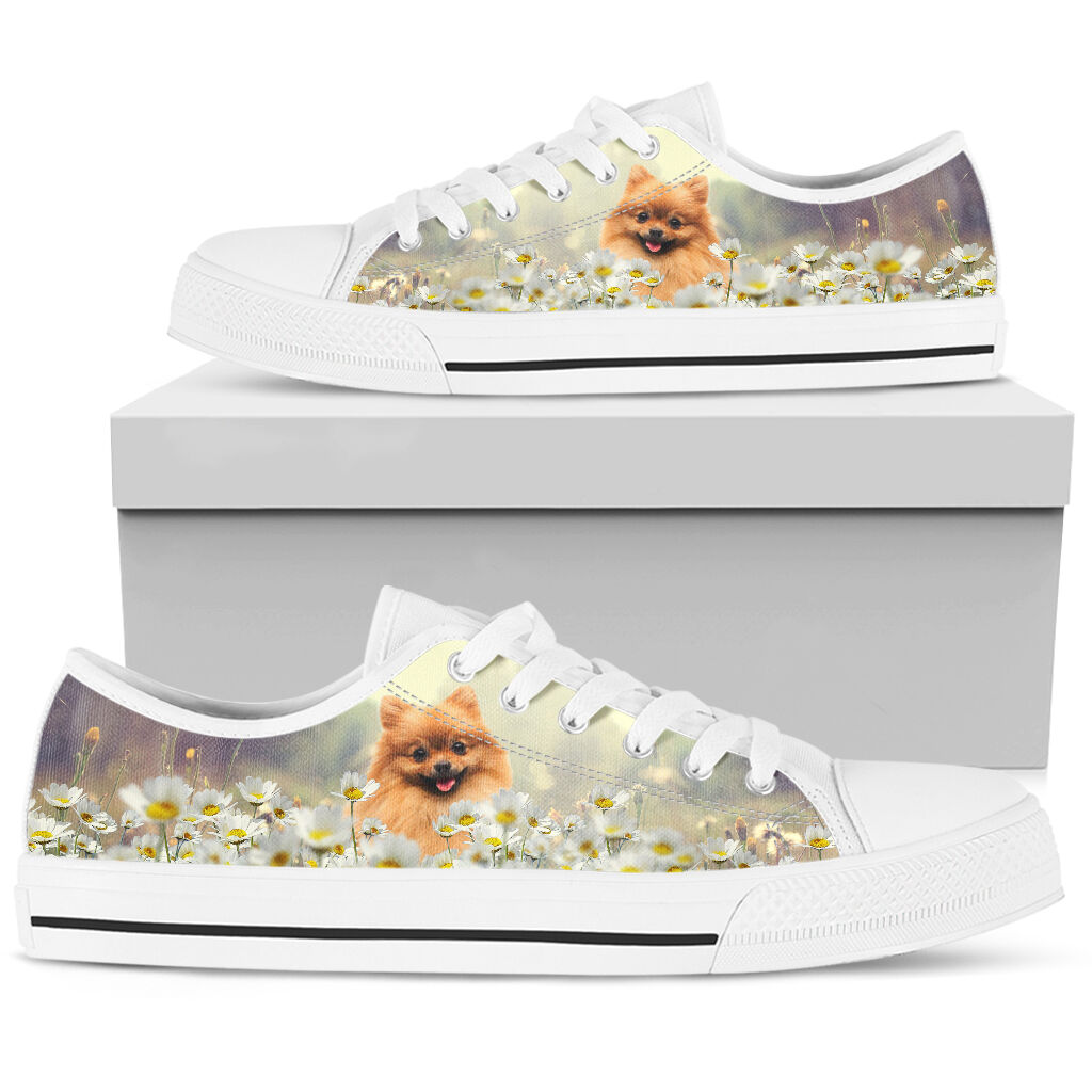 Pomeranian Daisy - Low Top Shoe - Love Love Top Shoes