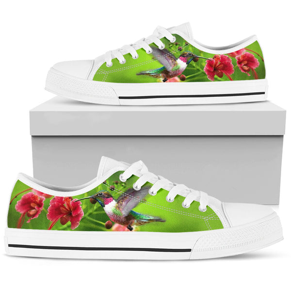 Hummingbird Low Top Shoes