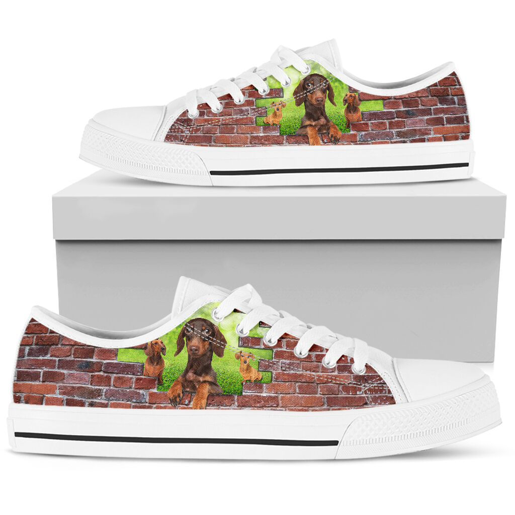 Dachshund On Grass Brick Wall - Low Top Shoe - Love Love Top Shoes