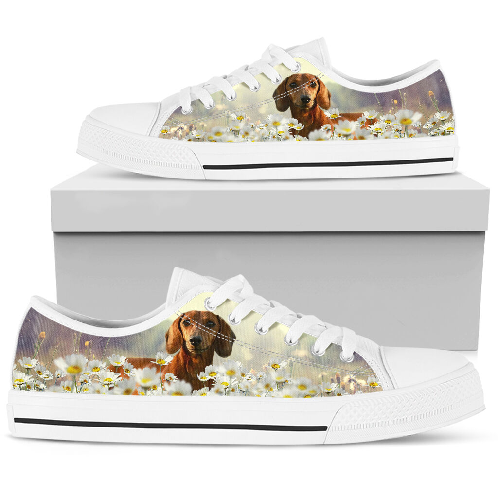 Dachshund Daisy - Low Top Shoe - Love Love Top Shoes