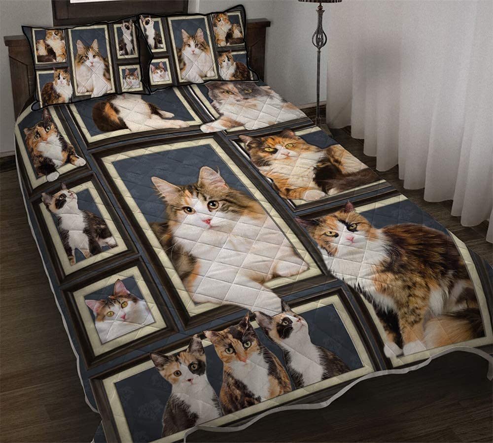 zbigtee Calicos Cat Picture Frames Set QBS Comfy Funny Bed Quilt Bed Set Bedding Set Animal Cat