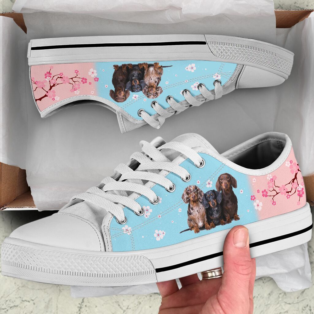 Dachshund And Cherry Blossom - Low Top Shoe - Love Love Top Shoes