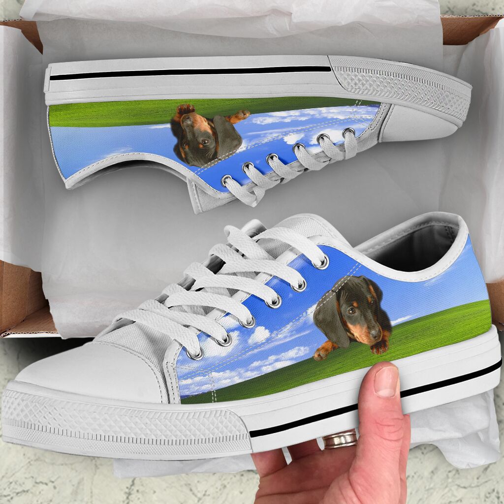 Dachshund Lying Mountain - Low Top Shoe - Love Love Top Shoes