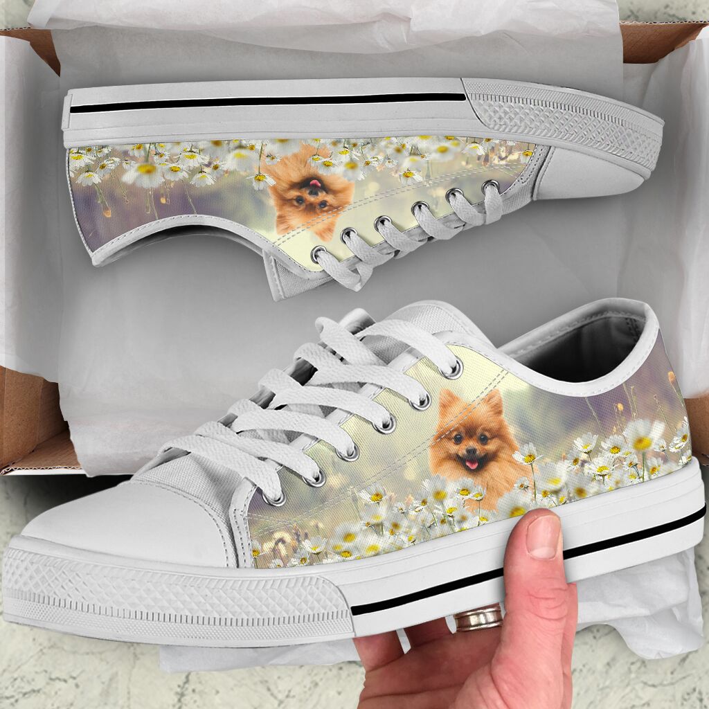 Pomeranian Daisy - Low Top Shoe - Love Love Top Shoes