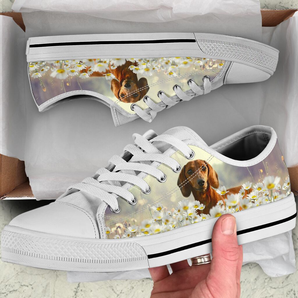 Dachshund Daisy - Low Top Shoe - Love Love Top Shoes