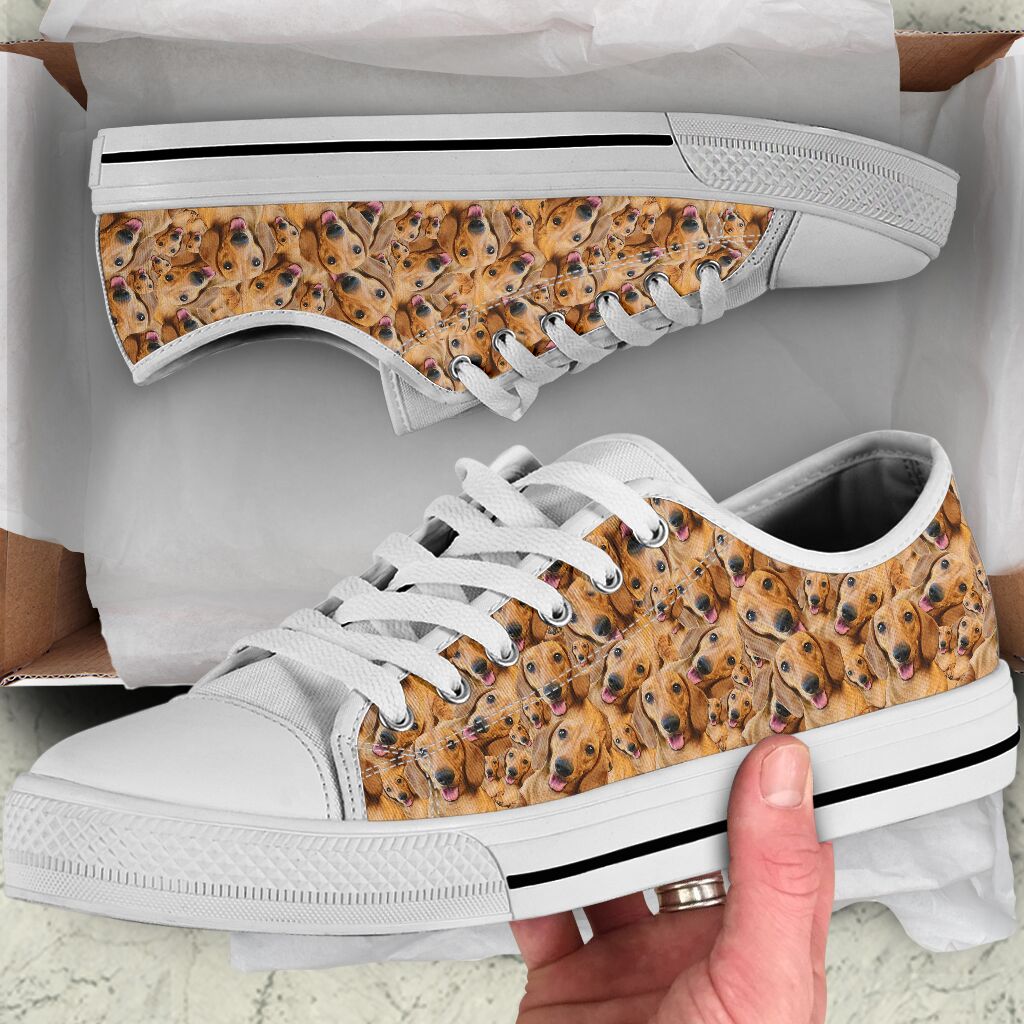 Dachshund Random Pattern - Low Top Shoe - Love Love Top Shoes