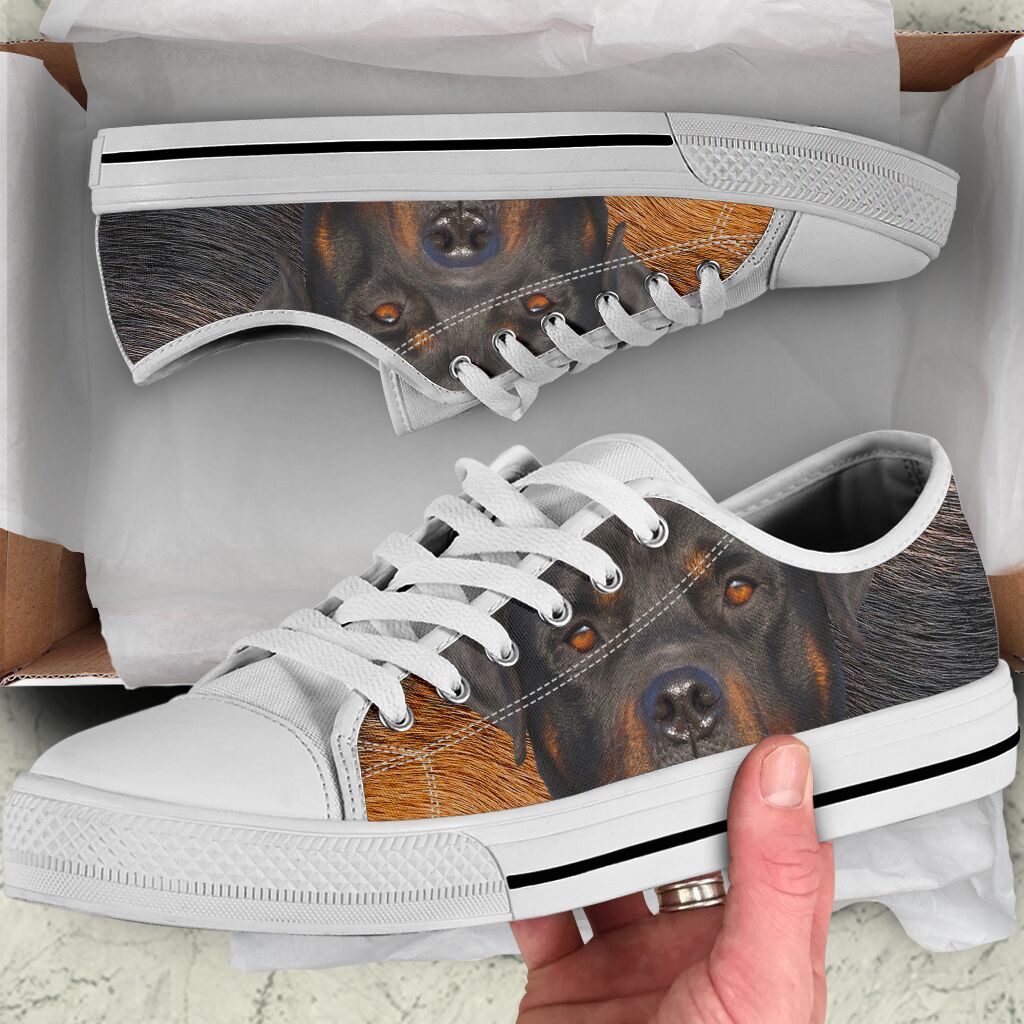 Rottweiler Face - Low Top Shoe - Love Love Top Shoes