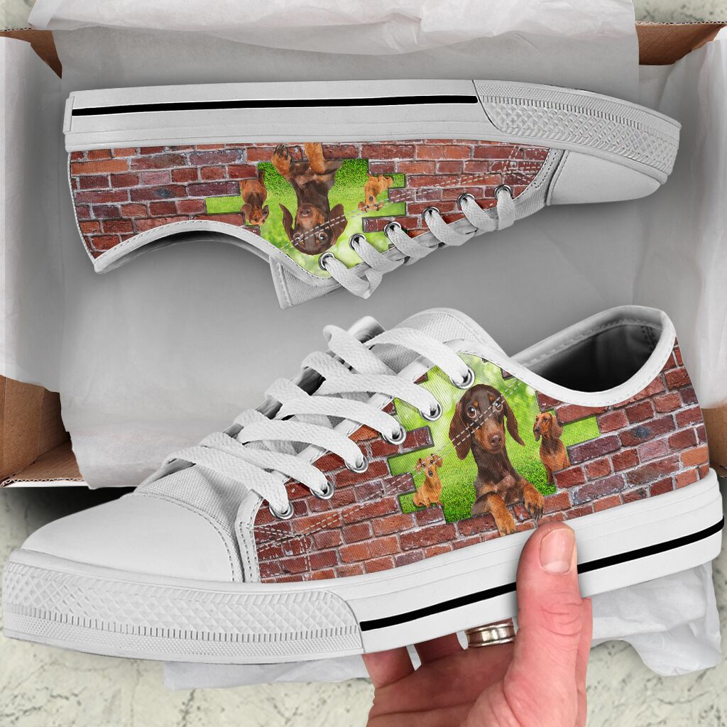 Dachshund On Grass Brick Wall - Low Top Shoe - Love Love Top Shoes