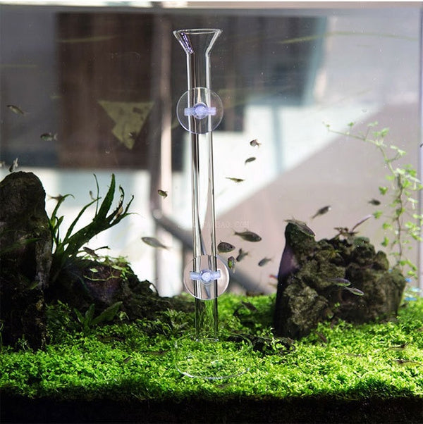 6 Size Glass Aquarium Feeder Tube Dish Transparent Fish Tank Shrimp Snail Food Feeder Bowl Aquarium Feeding Accessories