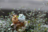 4PCS Owl Figurine Miniature Animal Figure Decoration Fairy Garden Aquarium Fish Tank Animal Statue Resin Craft