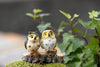 4PCS Owl Figurine Miniature Animal Figure Decoration Fairy Garden Aquarium Fish Tank Animal Statue Resin Craft