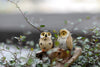 4PCS Owl Figurine Miniature Animal Figure Decoration Fairy Garden Aquarium Fish Tank Animal Statue Resin Craft