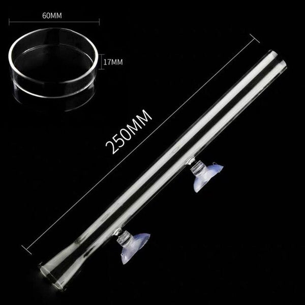 6 Size Glass Aquarium Feeder Tube Dish Transparent Fish Tank Shrimp Snail Food Feeder Bowl Aquarium Feeding Accessories