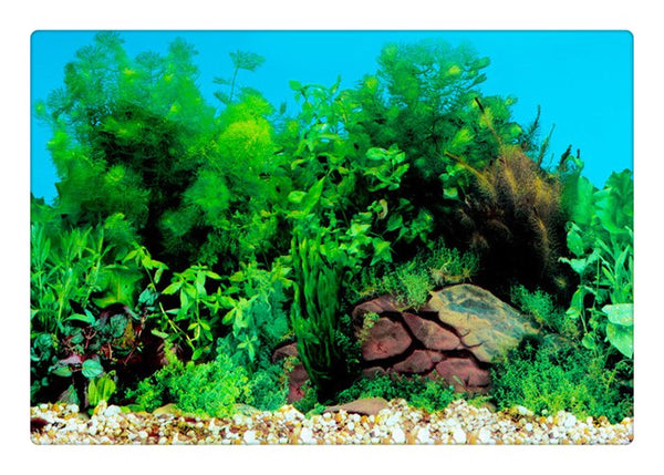 Aquarium Landscape Sticker Poster Fish Tank 3D Background Sticker Double-sided Ocean Sea Plants Aquarium Decor Accessories