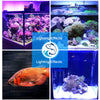 Aquarium Light LED Waterproof Fish Tank Lamp Underwater Submersible RGB Fish Lighting Aquarium Decor Plant 19-49CM 110v 220V